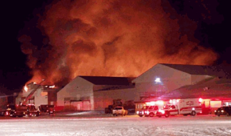 Blaze Kills Nearly 300 000 Factory Farm Chickens Vegnews