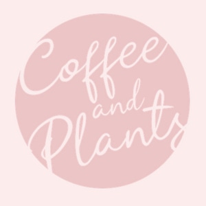 coffee and plants