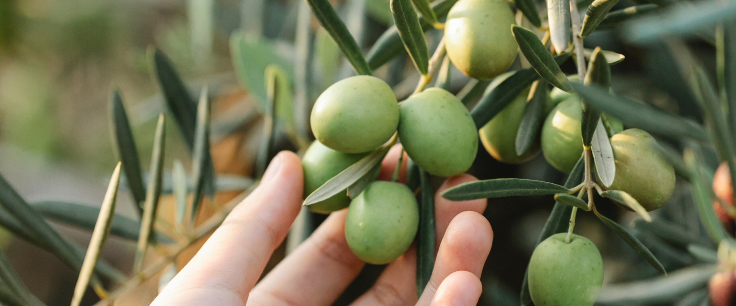 No, Cavemen Didn’t Only Eat Meat Says New Evidence