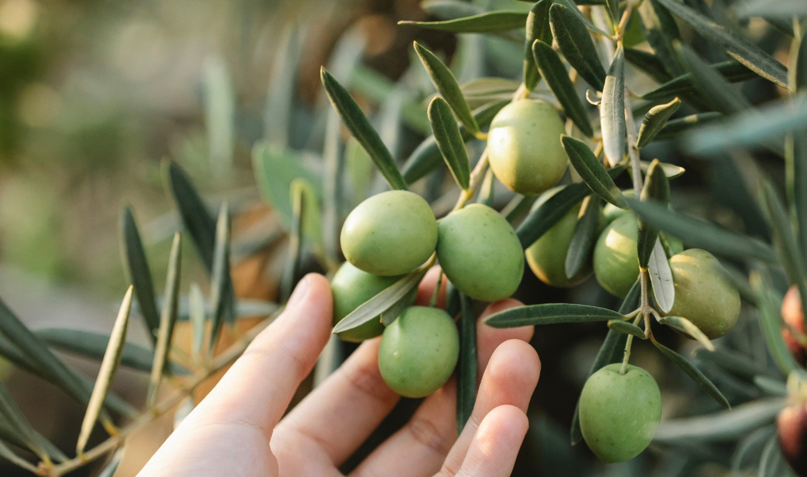 No, Cavemen Didn’t Only Eat Meat Says New Evidence