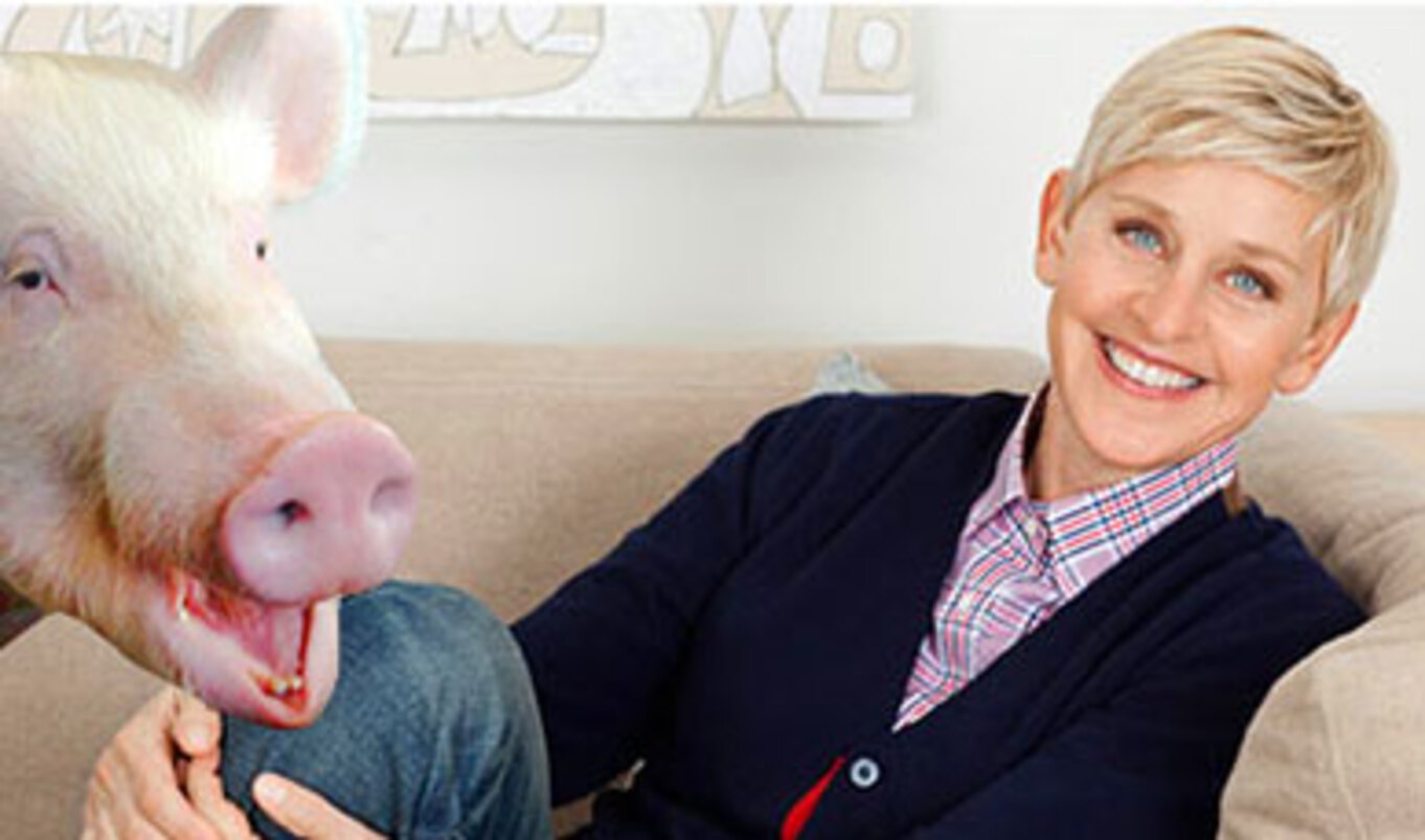 Ellen DeGeneres and Portia de Rossi Adopt Esther the Wonder Pig