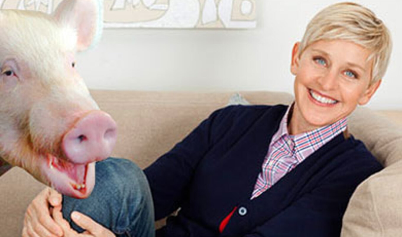 Ellen DeGeneres and Portia de Rossi Adopt Esther the Wonder Pig