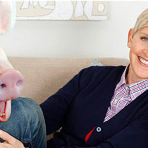 Ellen DeGeneres and Portia de Rossi Adopt Esther the Wonder Pig