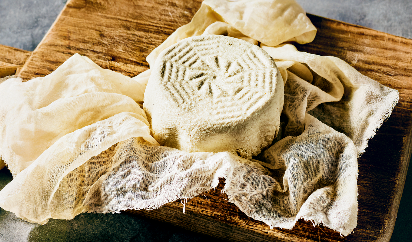 Watermelon-Seed-Cashew-Ricotta.Eva-Kolenko