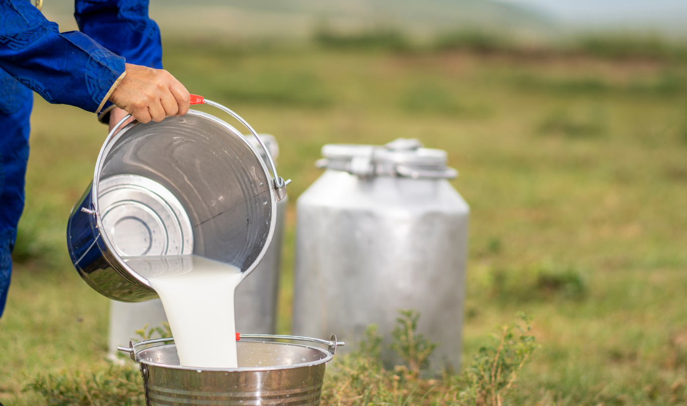 pouring dairy milk into bucket