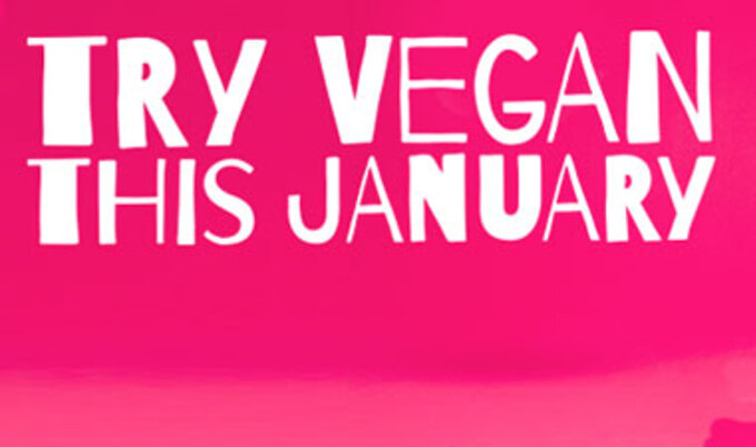 ColleenHolland.Veganuary