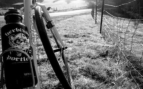 Interview with Animal Philanthropist Josh Hooten