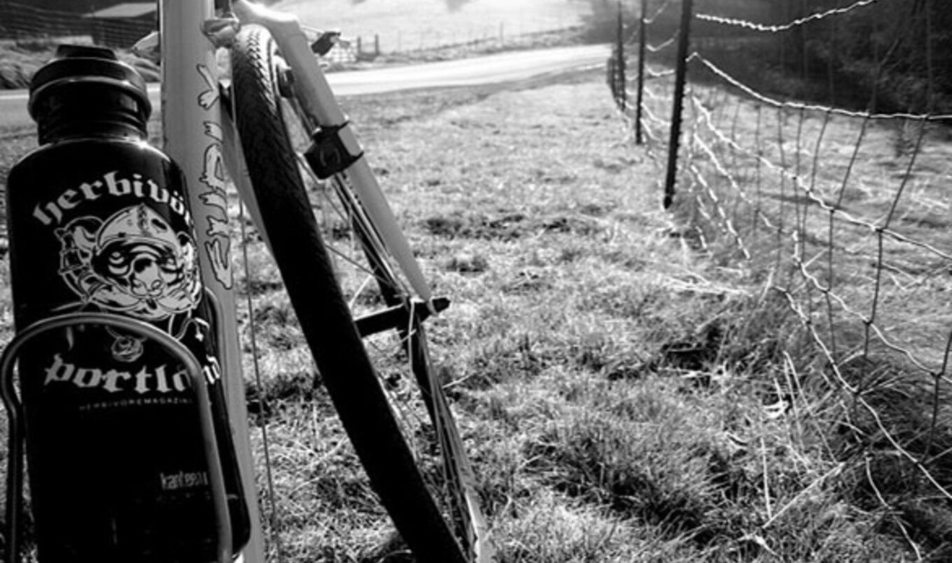 Interview with Animal Philanthropist Josh Hooten