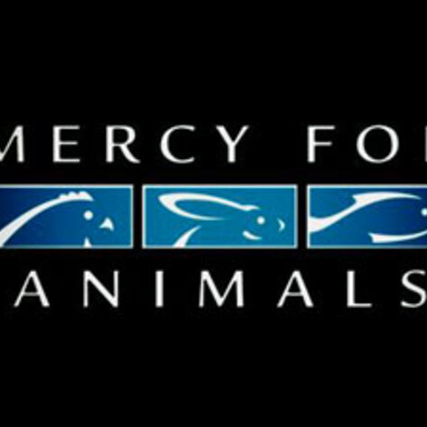 Mercy For Animals to Host Star-Studded Gala