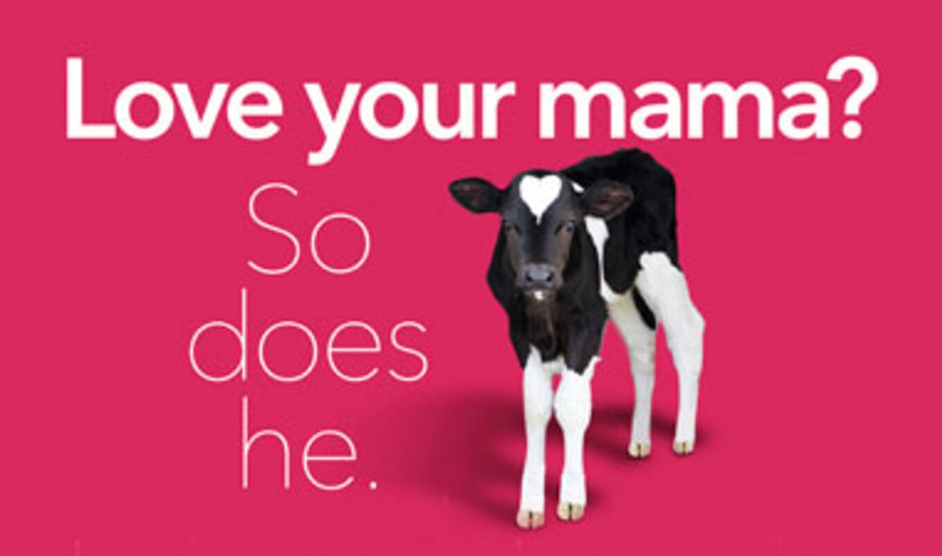 Anti-Dairy Campaign Debuts on Public Transit System