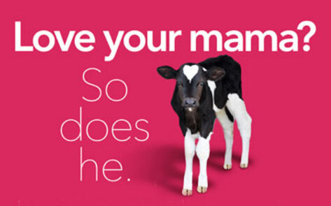 Anti-Dairy Campaign Debuts on Public Transit System
