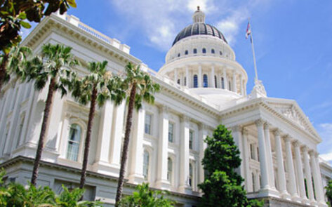 Sacramento Hosts Vegan Chef Challenge