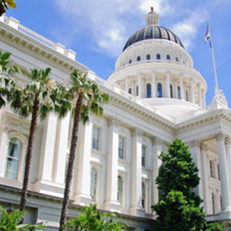 Sacramento Hosts Vegan Chef Challenge