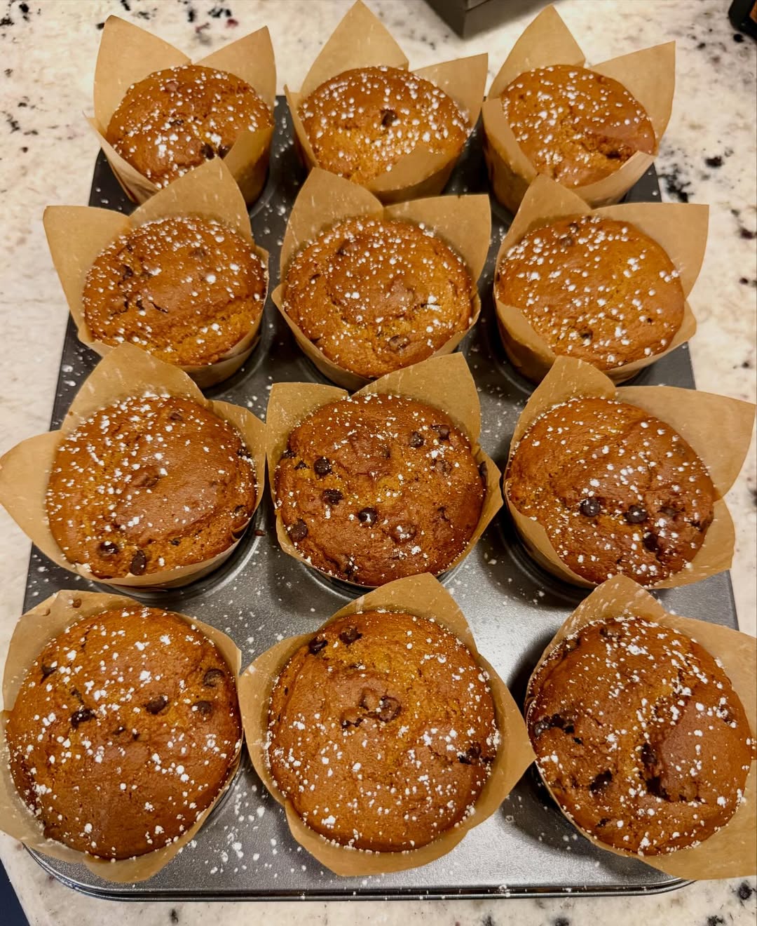 Dusted Cap Mushroom muffins