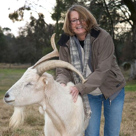 Animal Place: Non-profit of the Year!