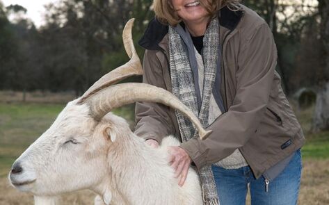 Animal Place: Non-profit of the Year!