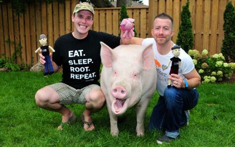 Esther the Wonder Pig