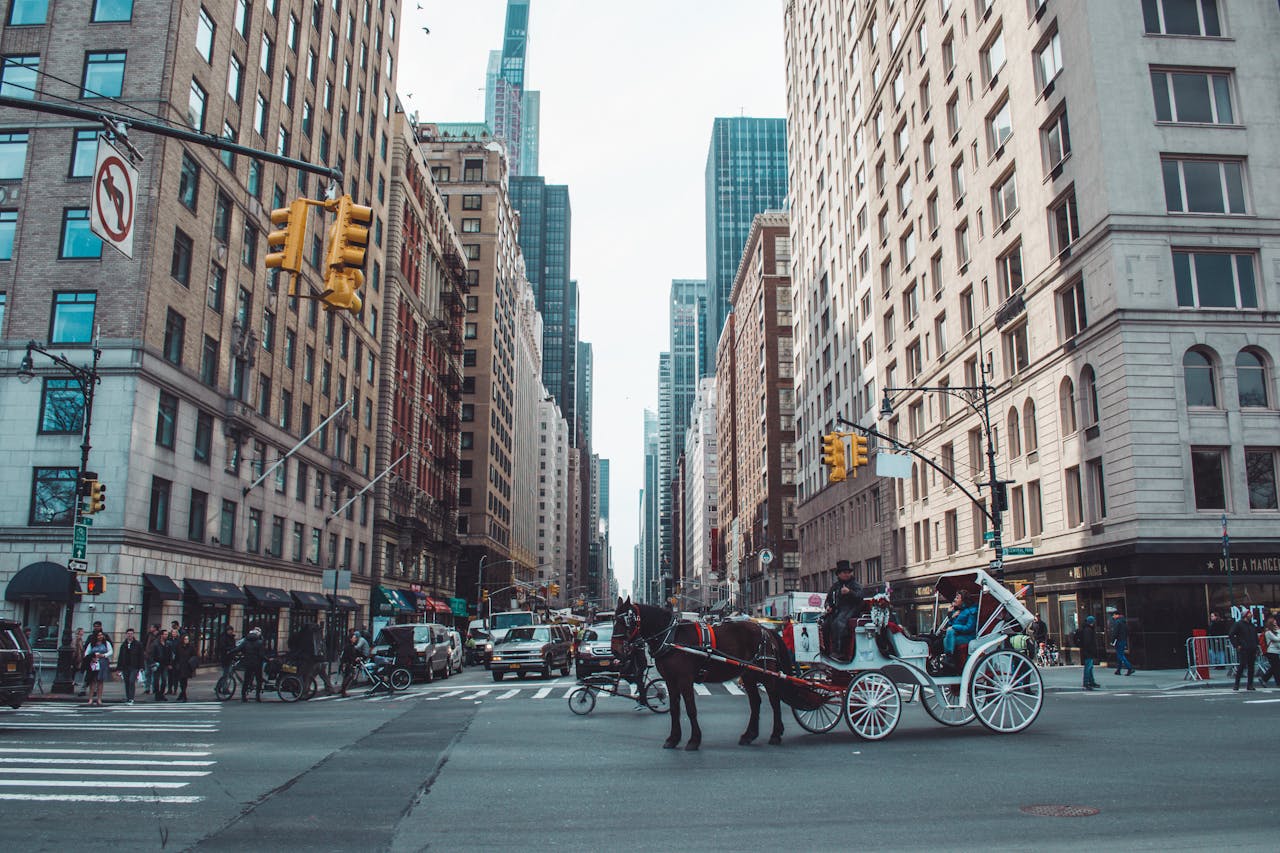 New York City horse carriage