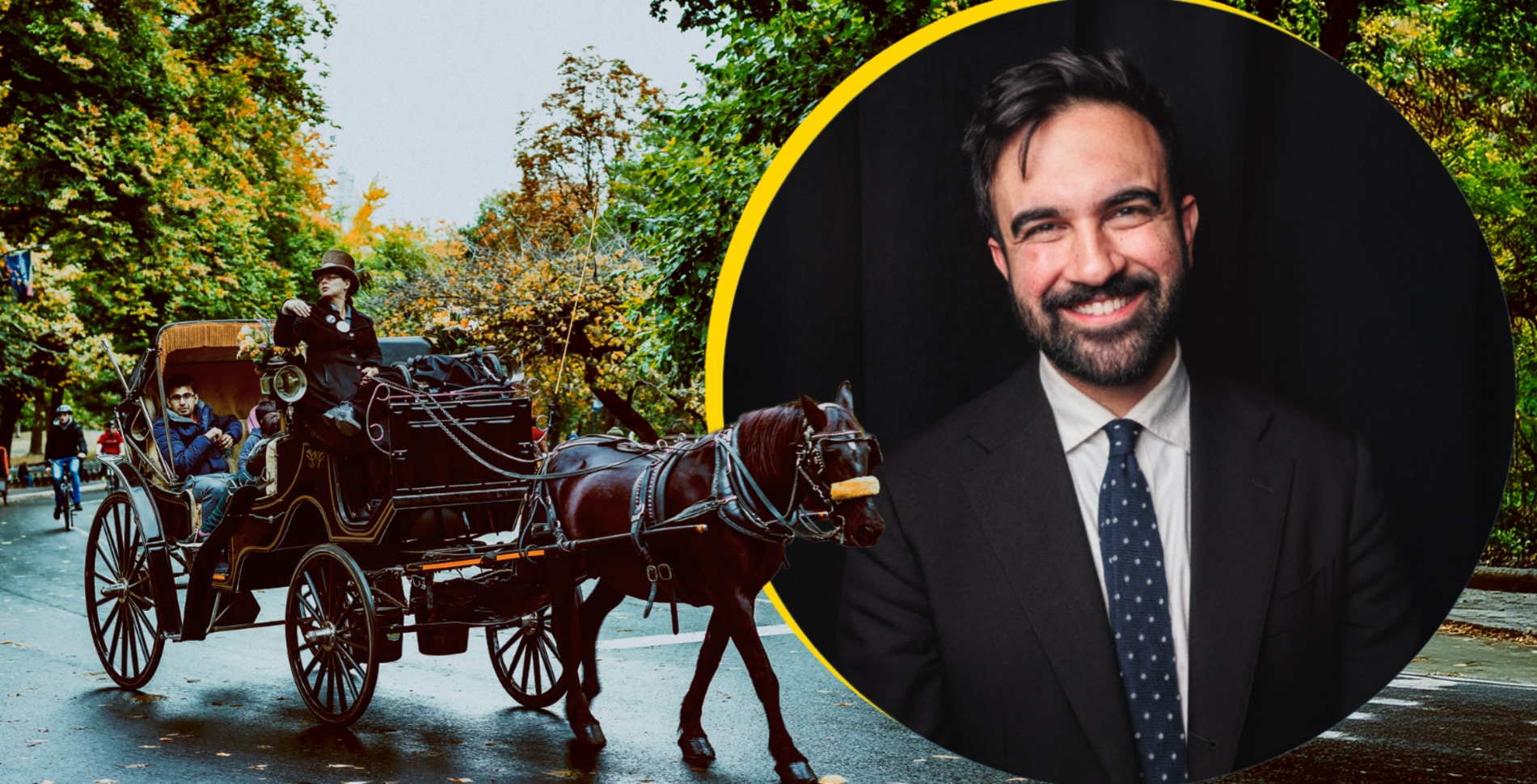 New York Has a New Mayor—and He Wants to Free Central Park’s Horses
