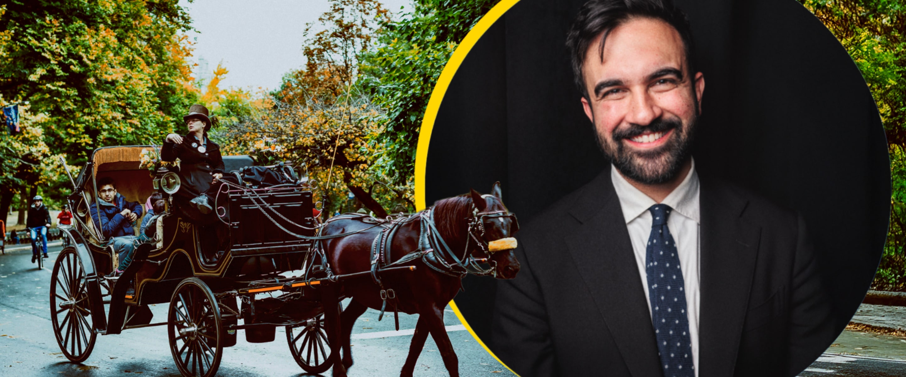 New York Has a New Mayor—and He Wants to Free Central Park’s Horses