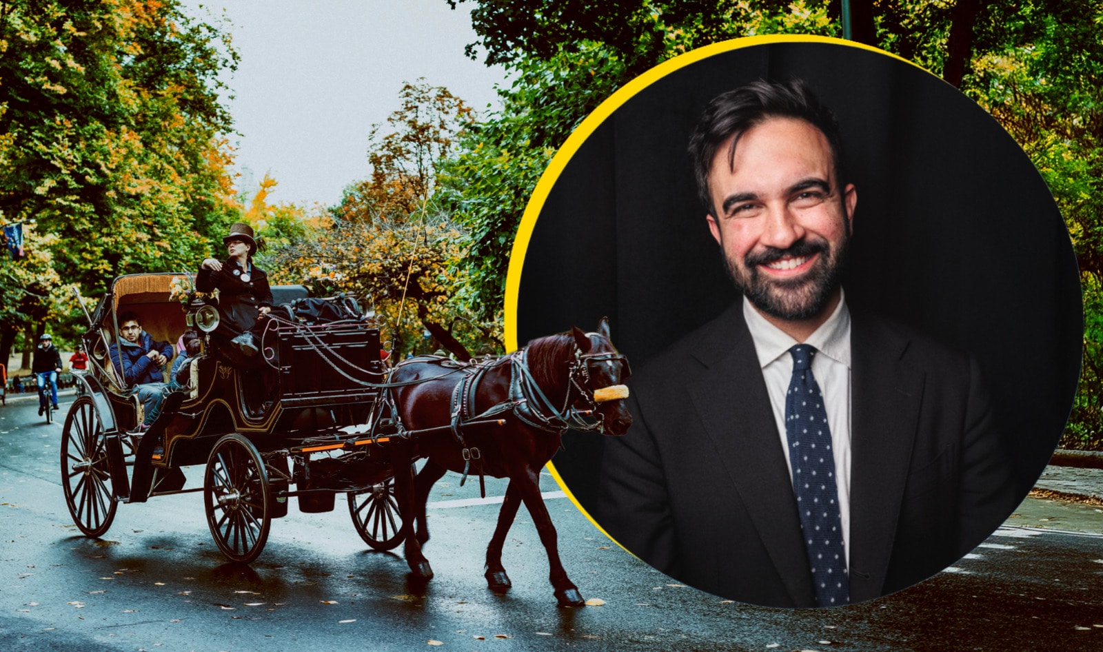 New York Has a New Mayor—and He Wants to Free Central Park’s Horses