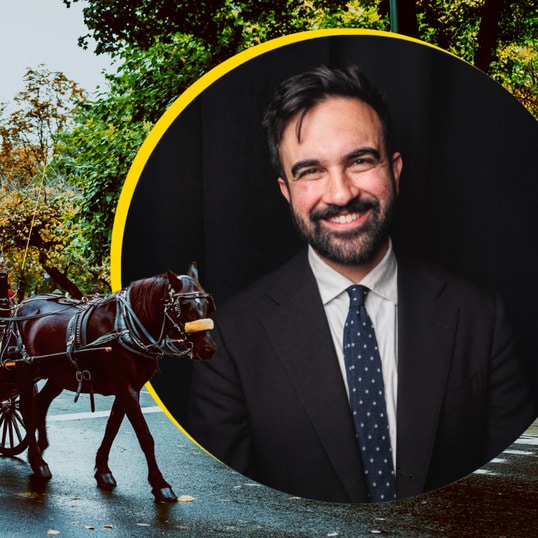 New York Has a New Mayor—and He Wants to Free Central Park’s Horses