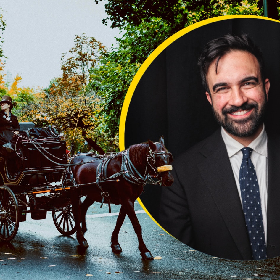 New York Has a New Mayor—and He Wants to Free Central Park’s Horses