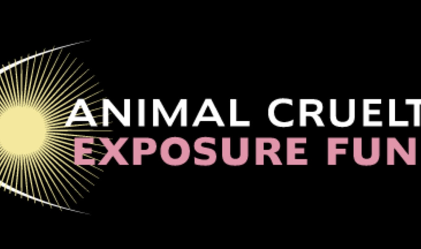 Introducing the Animal Cruelty Exposure Fund