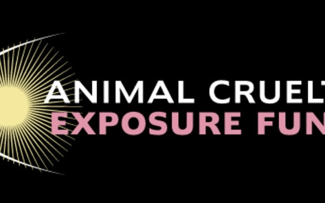 Introducing the Animal Cruelty Exposure Fund