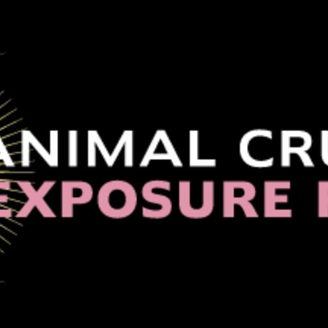Introducing the Animal Cruelty Exposure Fund