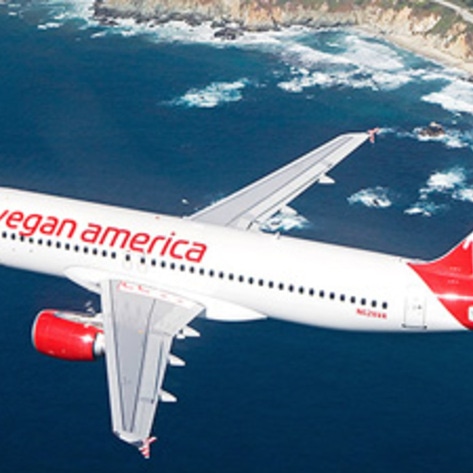 Virgin America to Launch Vegan Airline
