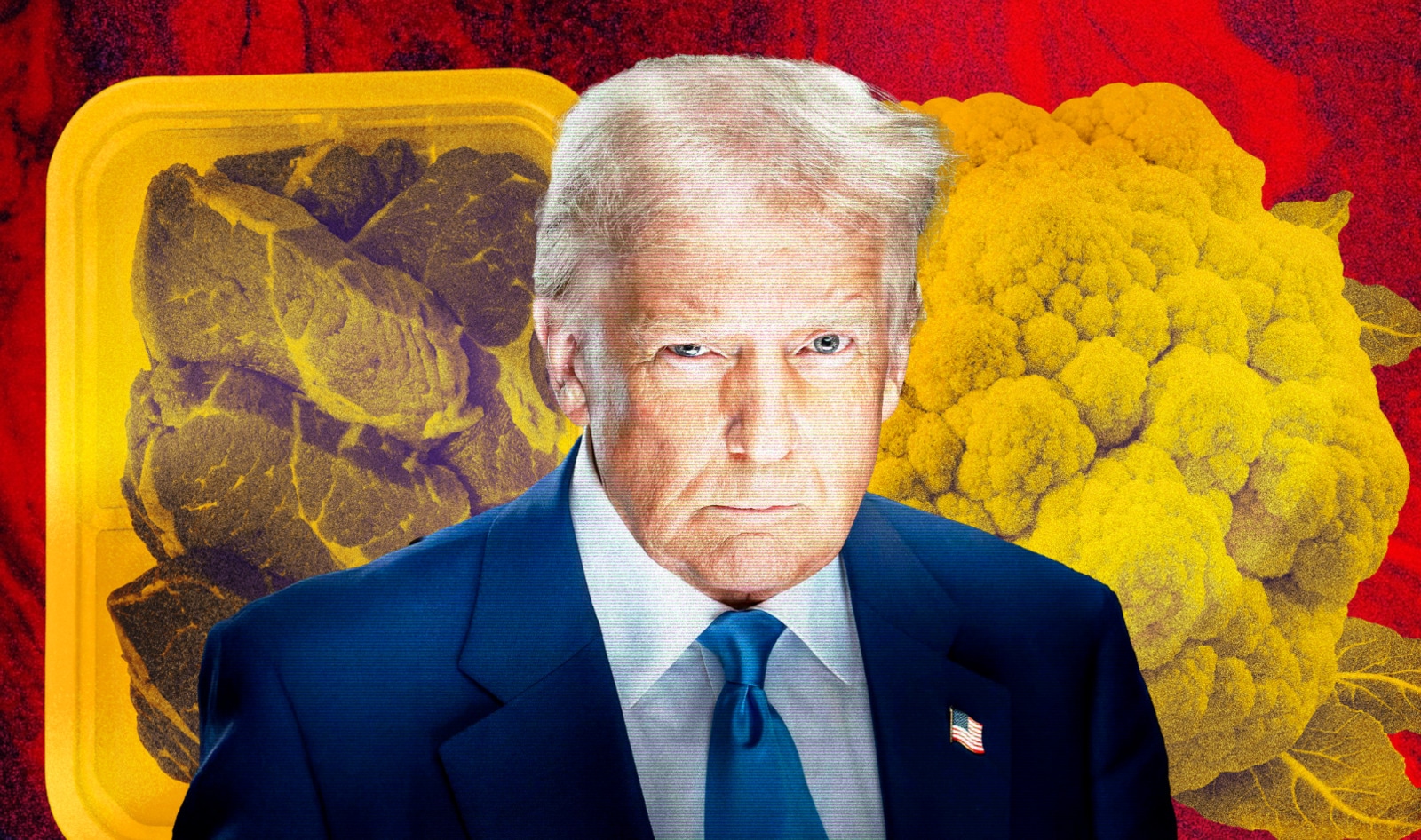 The Trump Administration Accidentally Did One Good Thing for Vegans