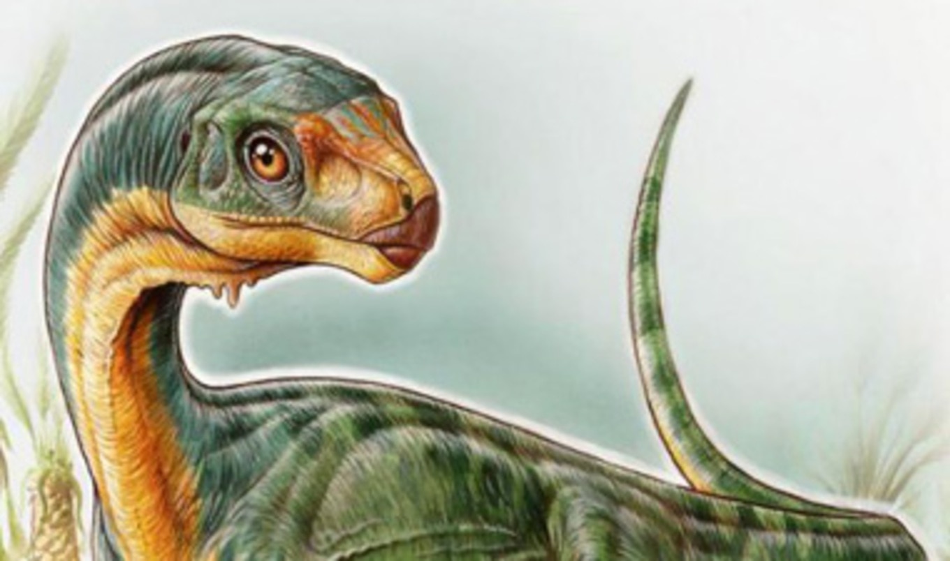 Vegetarian T-Rex-Like Dinosaur Discovered by 7-Year-Old Boy