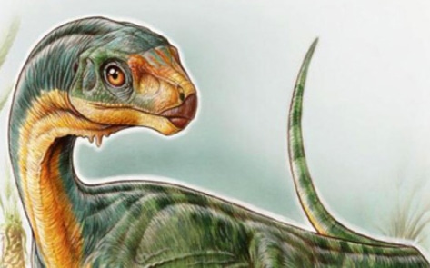 Vegetarian T-Rex-Like Dinosaur Discovered by 7-Year-Old Boy