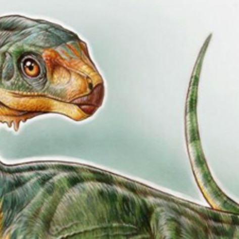 Vegetarian T-Rex-Like Dinosaur Discovered by 7-Year-Old Boy