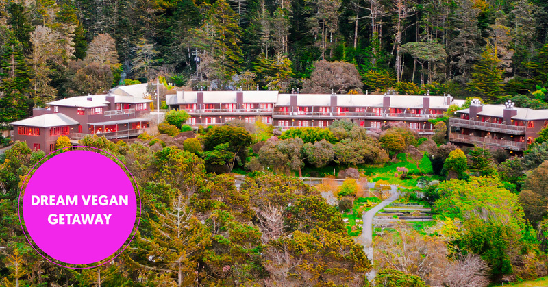 VeggieAwards.2026.PrizesLandingPage.4