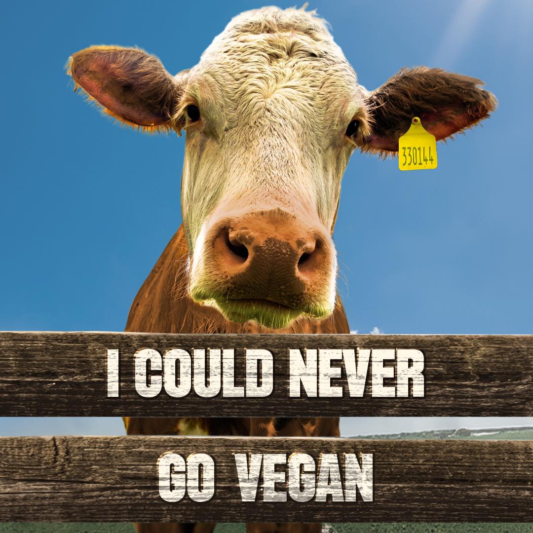  I Could Never Go Vegan