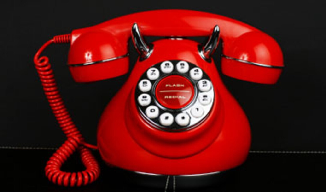 Toll-Free Animal Activist Helpline Launched