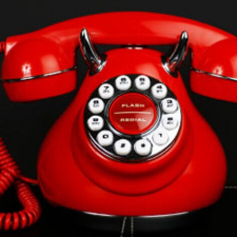 Toll-Free Animal Activist Helpline Launched