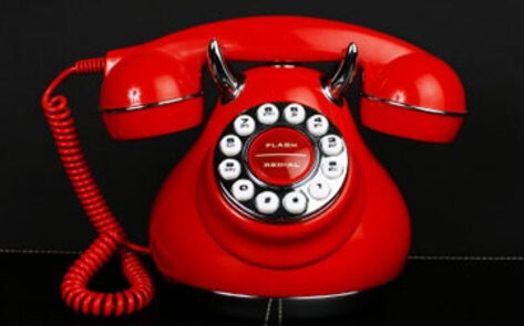 Toll-Free Animal Activist Helpline Launched