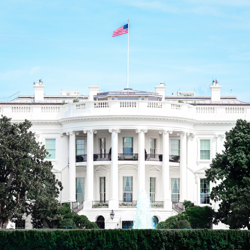 White House Canva