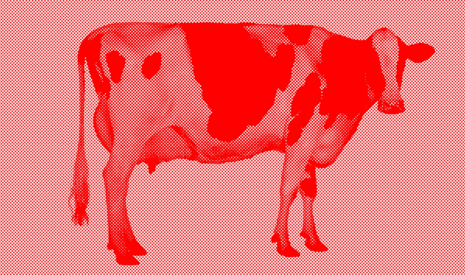 Exclusive: The Real Truth Behind Meat’s Surge in Popularity
