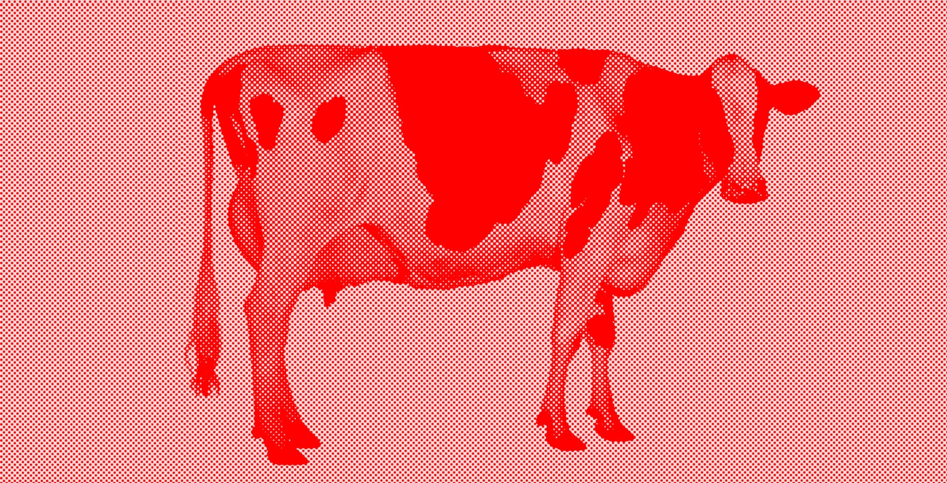 Exclusive: The Real Truth Behind Meat’s Surge in Popularity