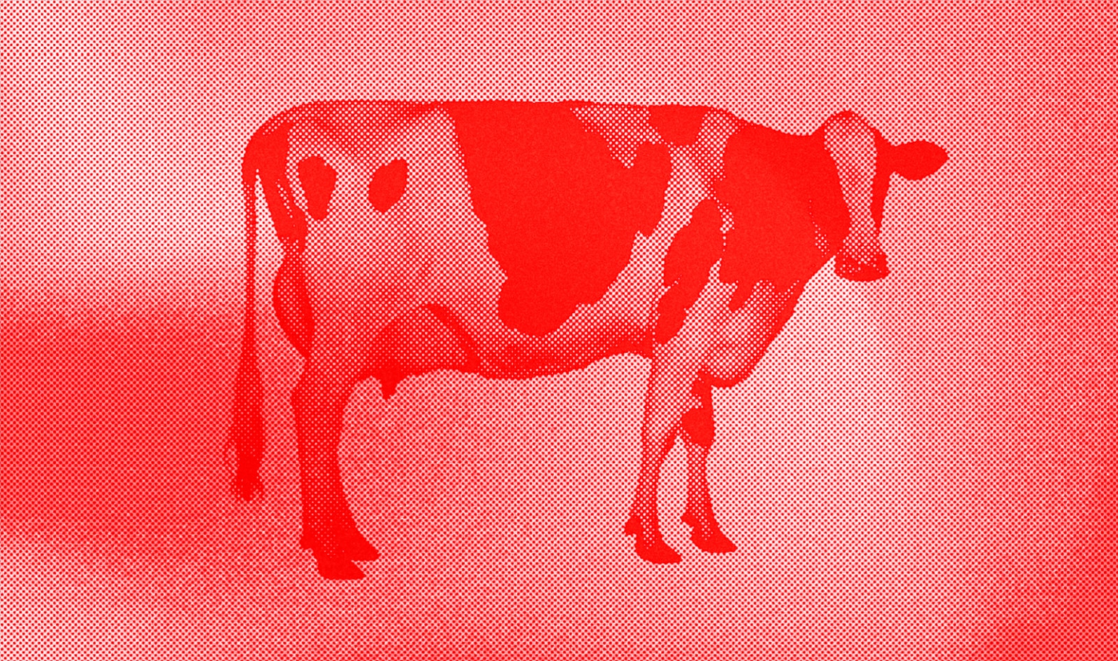 Exclusive: The Real Truth Behind Meat’s Surge in Popularity