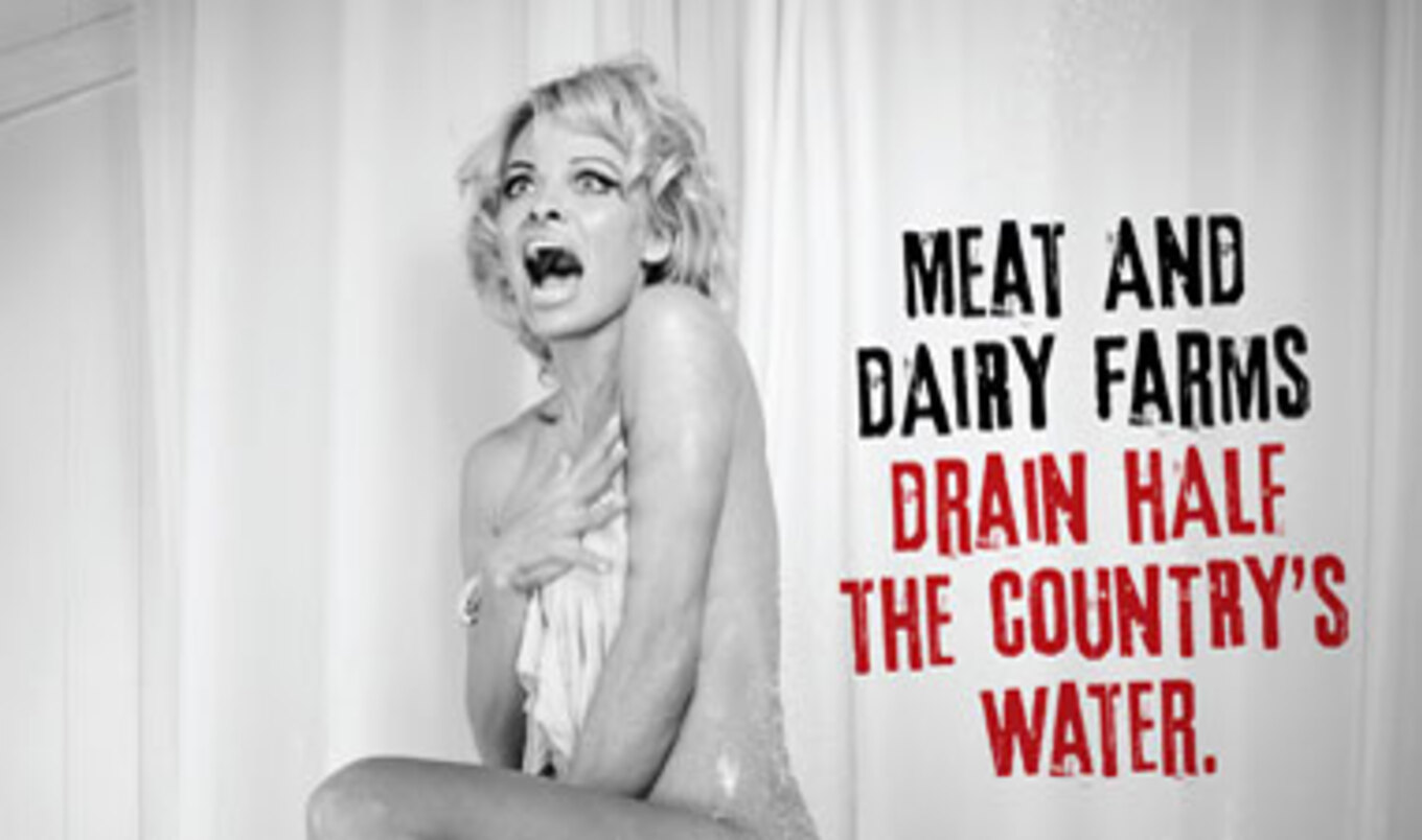 New Pamela Anderson Vegan Ad Campaign to Debut on <i>Ellen</i>