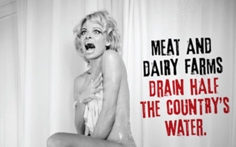 New Pamela Anderson Vegan Ad Campaign to Debut on <i>Ellen</i>