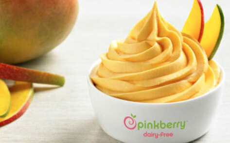 Popular Frozen Yogurt Chain Debuts Vegan Option