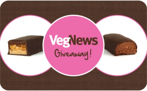 Subscriber Appreciation Month Giveaway: Vegan Candy Bars