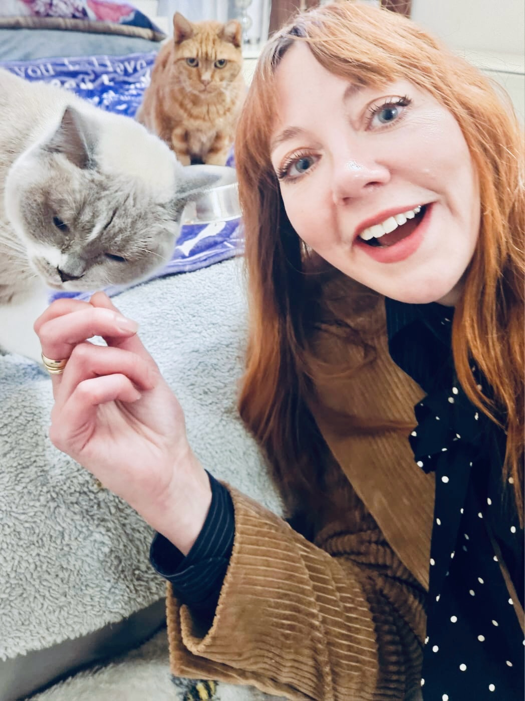 Diane Morgan cats