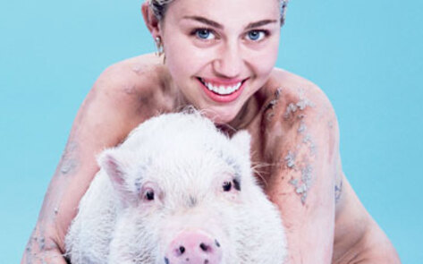 Miley Cyrus Announces Her Veganism